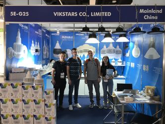 Vikstars Co., Limited 제조업체의 생산 라인